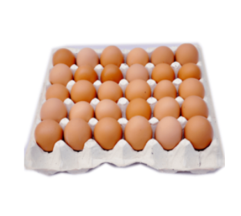 Beed 30Pcs