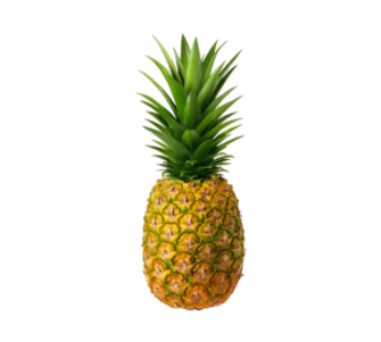 Cananis Fruit 1Pcs