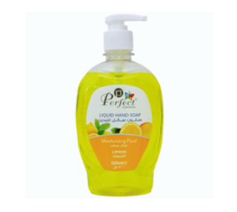 Perfect HandWash 500ml
